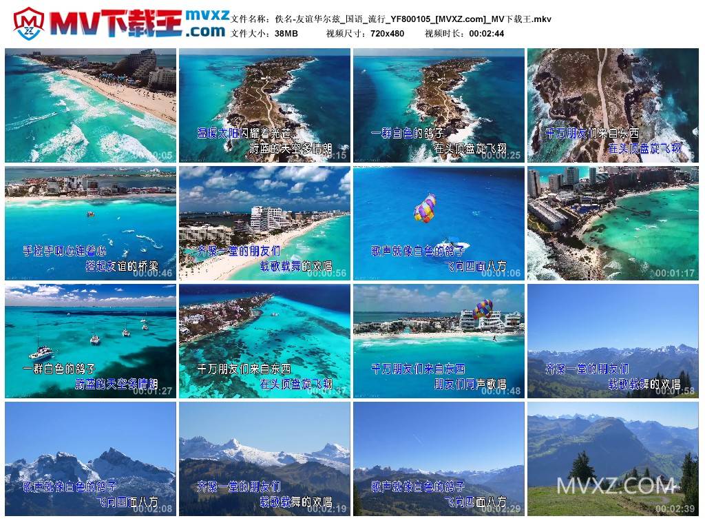 佚名-友谊华尔兹_国语_流行_YF800105
